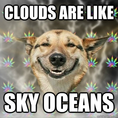 Clouds are like Sky oceans  Stoner Dog