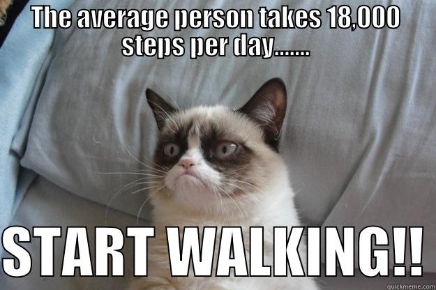 THE AVERAGE PERSON TAKES 18,000 STEPS PER DAY…….  START WALKING!! Grumpy Cat