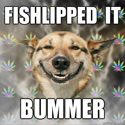 FISHLIPPED  IT BUMMER  Stoner Dog