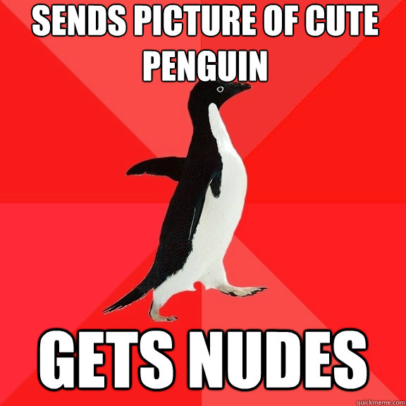 Sends Picture Of cute penguin  Gets nudes  Socially Awesome Penguin