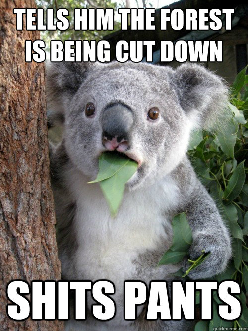 tells him the forest is being cut down shits pants  koala bear