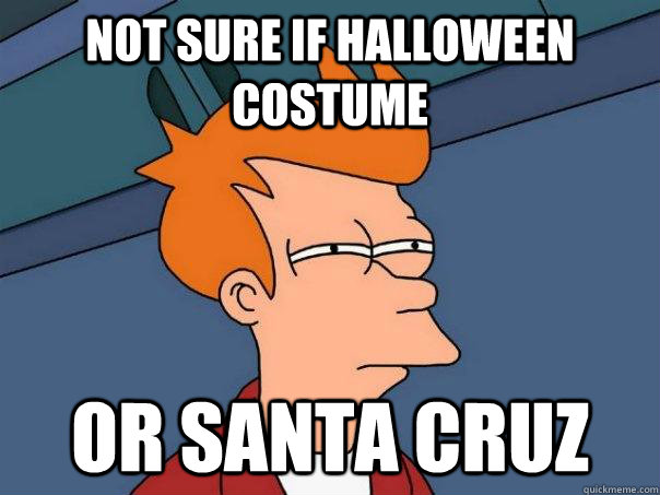 Not sure if Halloween costume Or Santa Cruz - Not sure if Halloween costume Or Santa Cruz  Futurama Fry