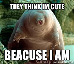 They think im cute Beacuse i am - They think im cute Beacuse i am  The cute water bear