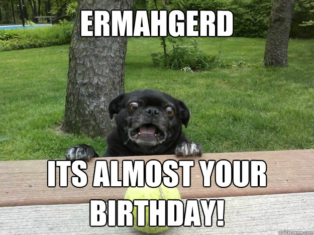 Ermahgerd Its almost your birthday!  