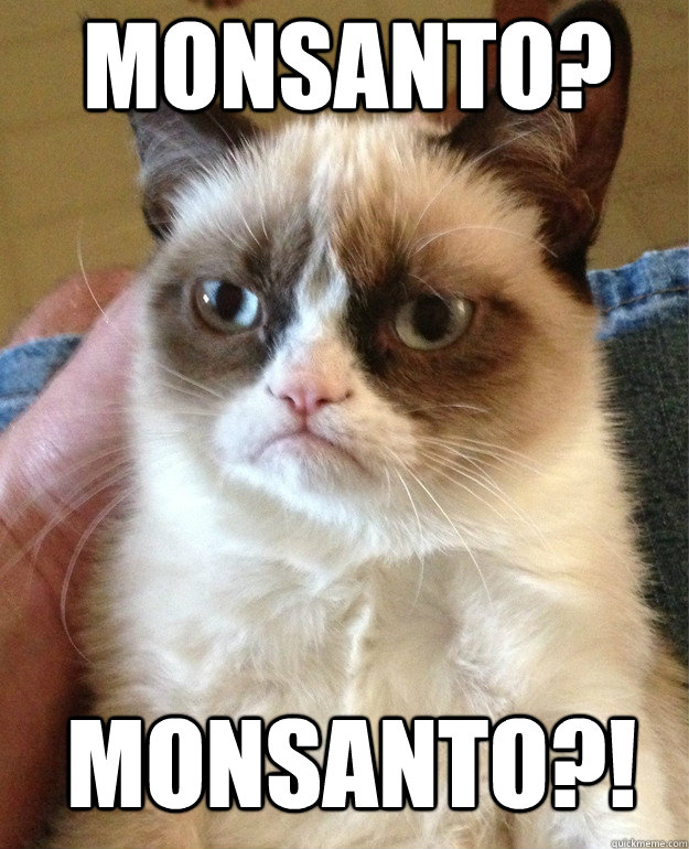 Monsanto? Monsanto?!  Grumpy Cat