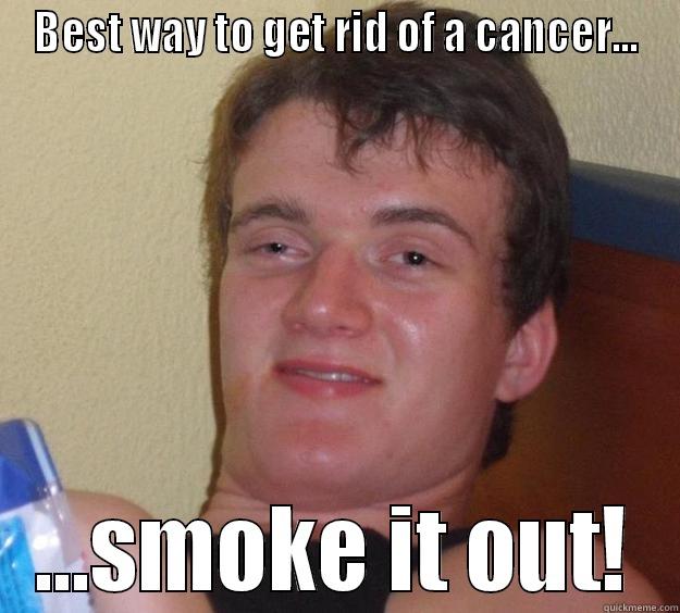 pot giver - BEST WAY TO GET RID OF A CANCER... ...SMOKE IT OUT! 10 Guy