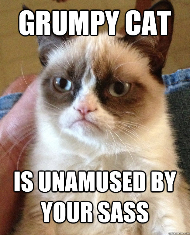 Grumpy Cat is unamused by your sass  Grumpy Cat