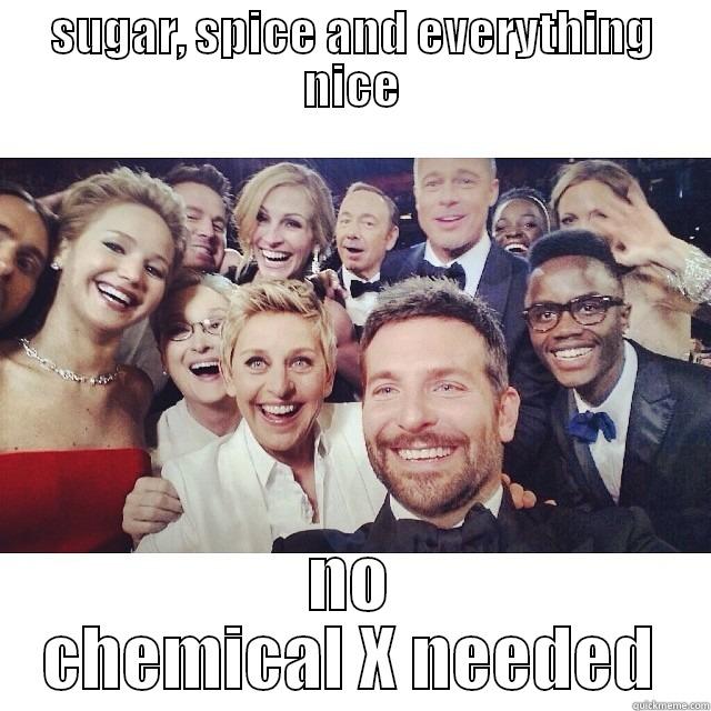 sugar, spice and everything nice - SUGAR, SPICE AND EVERYTHING NICE NO CHEMICAL X NEEDED Misc