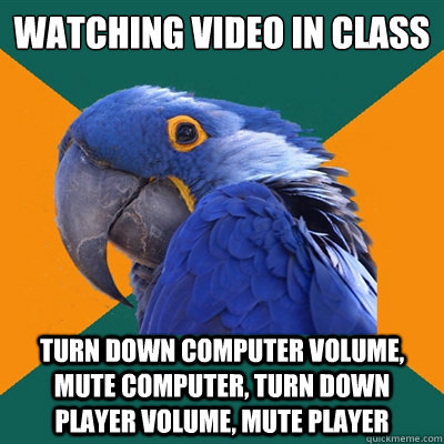 watching video in class turn down computer volume, mute computer, turn down player volume, mute player - watching video in class turn down computer volume, mute computer, turn down player volume, mute player  Paranoid Parrot