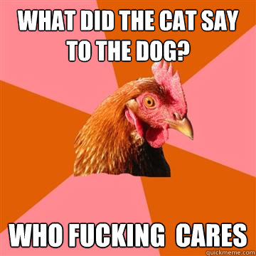 what did the cat say to the dog? who fucking  cares - what did the cat say to the dog? who fucking  cares  Anti-Joke Chicken