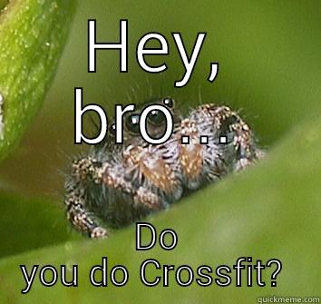 HEY, BRO... DO YOU DO CROSSFIT?  Misunderstood Spider