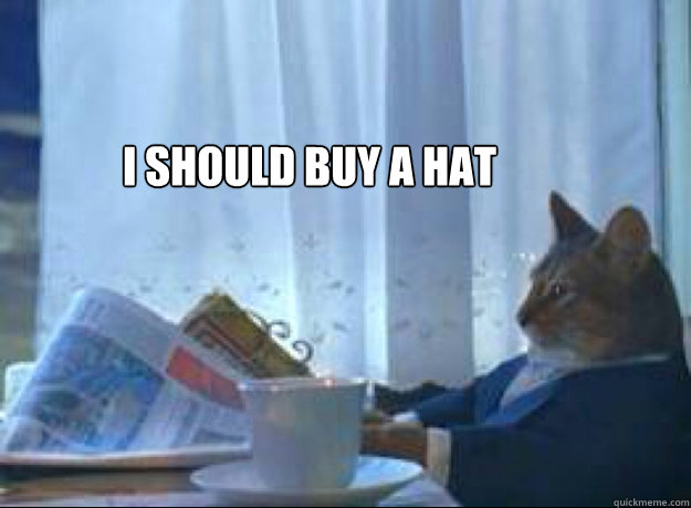 i should buy a hat   I should buy a boat cat