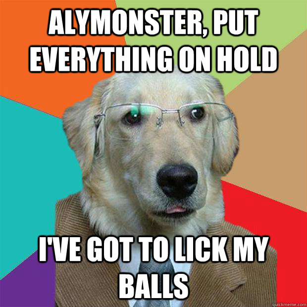 alymonster, PUT EVERYTHING ON HOLD  I'VE GOT TO LICK MY BALLS  Business Dog