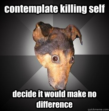 contemplate killing self decide it would make no difference  Depression Dog