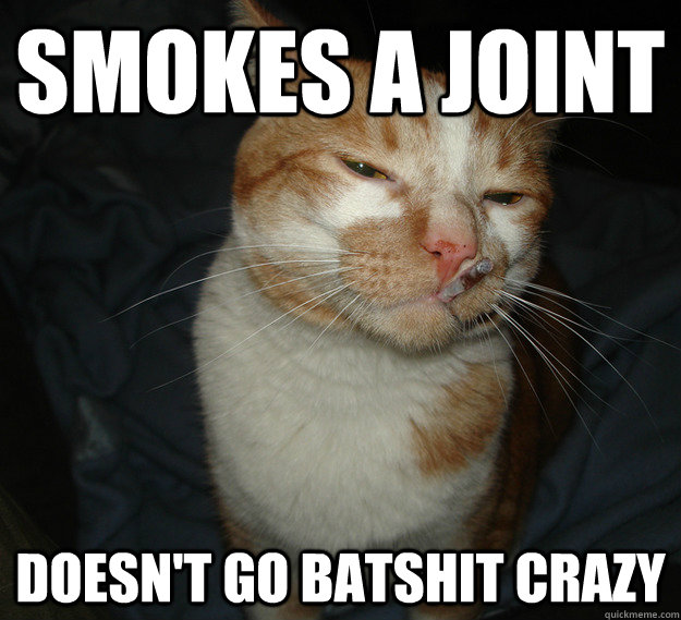 Smokes a joint Doesn't go batshit crazy - Smokes a joint Doesn't go batshit crazy  Cool Cat Craig