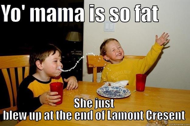 YO' MAMA IS SO FAT         SHE JUST BLEW UP AT THE END OF LAMONT CRESENT yo mama is so fat