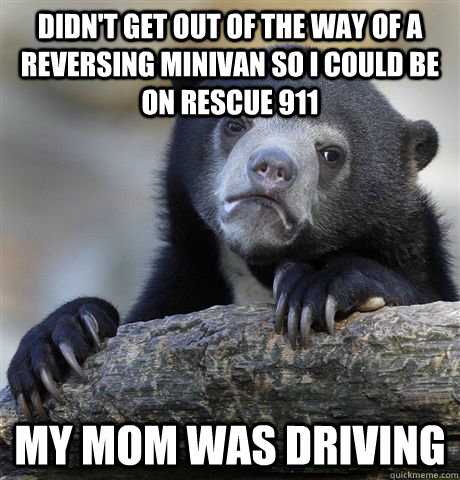 Didn't get out of the way of a reversing minivan so I could be on Rescue 911 My Mom was Driving  Confession Bear