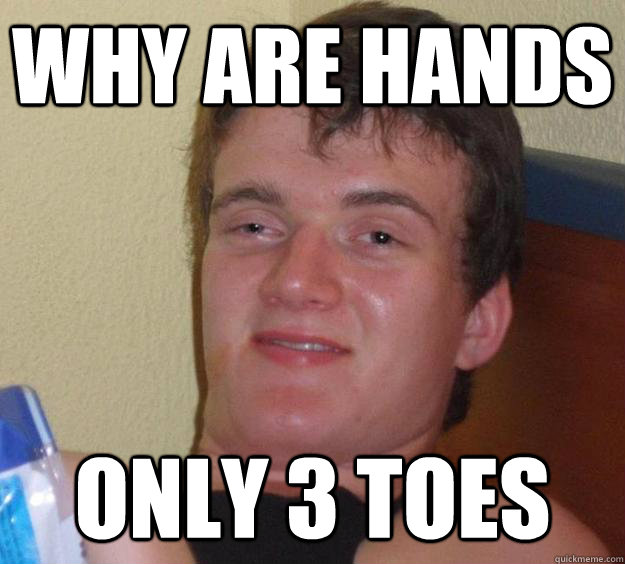 Why are hands only 3 toes  10 Guy