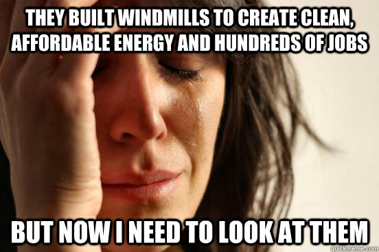 They built windmills to create clean, affordable energy and hundreds of jobs But now i need to look at them  First World Problems