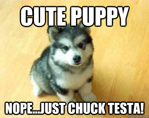 Cute Puppy Nope...Just Chuck Testa!  Baby Courage Wolf