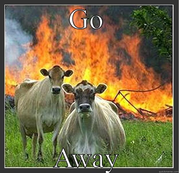 Idk lol - GO AWAY Evil cows