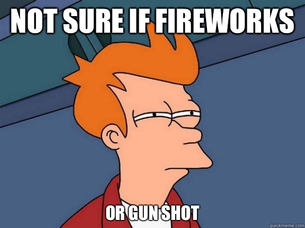 not sure if fireworks  or gun shot   Futurama Fry