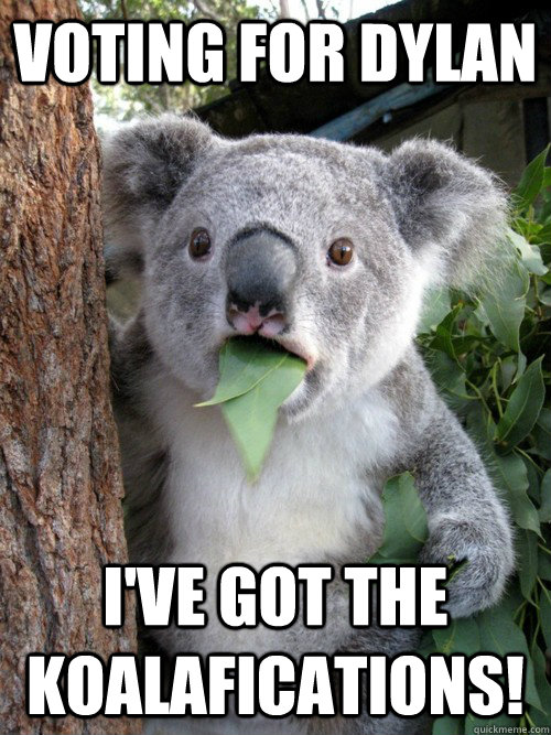 Voting for dylan I've got the koalafications!  koala bear