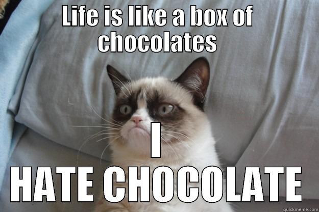 LIFE IS LIKE A BOX OF CHOCOLATES I HATE CHOCOLATE Grumpy Cat