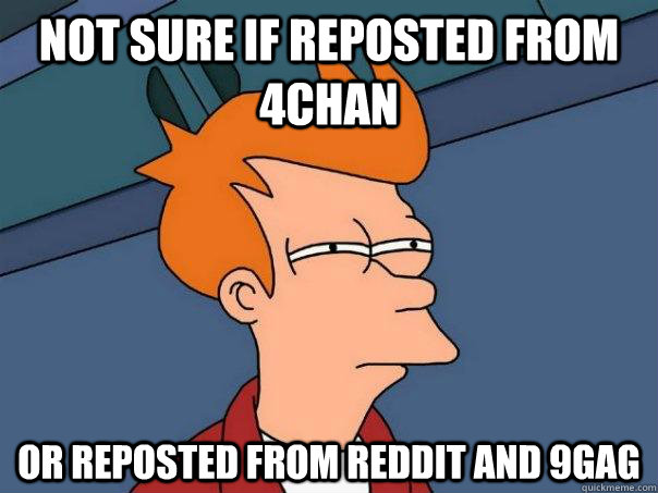 Not sure if reposted from 4chan or reposted from reddit and 9gag  Futurama Fry