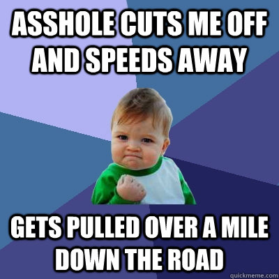 asshole cuts me off and speeds away gets pulled over a mile down the road  Success Kid