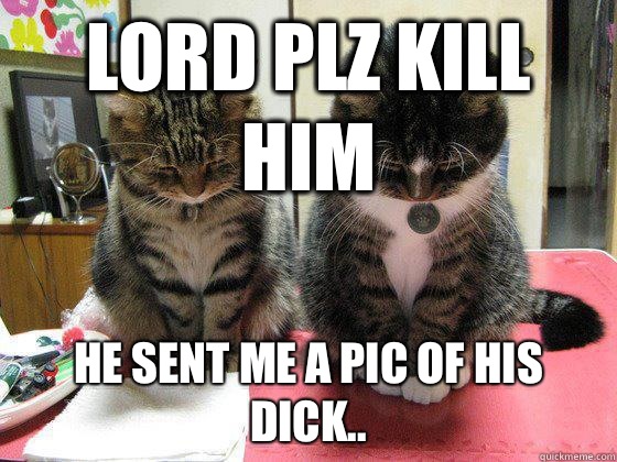 lord plz Kill him He sent me a pic of his dick.. - lord plz Kill him He sent me a pic of his dick..  Praying cats