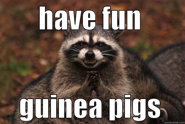 HAVE FUN GUINEA PIGS Evil Plotting Raccoon