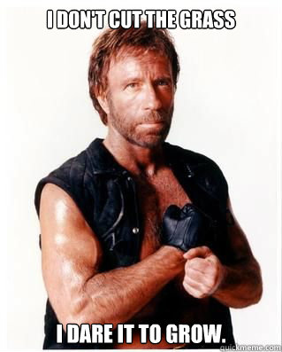 I don't cut the grass I dare it to grow.  Chuck Norris