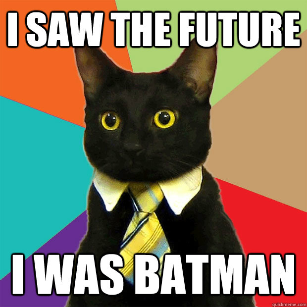 I SAW THE FUTURE  I WAS BATMAN  Business Cat