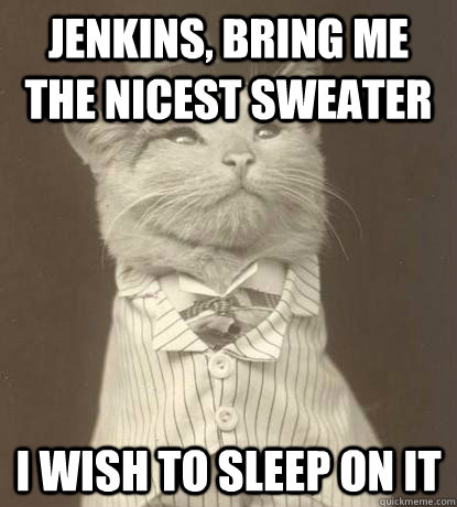 Jenkins, bring me the nicest sweater i wish to sleep on it  Aristocat