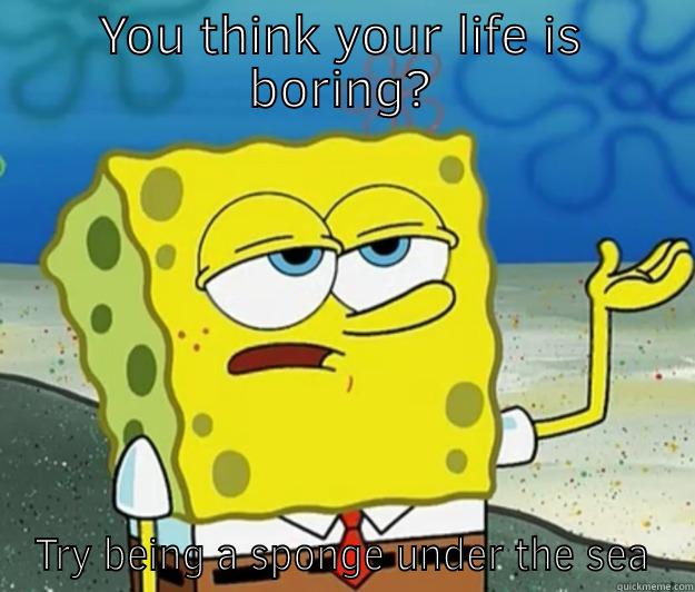 YOU THINK YOUR LIFE IS BORING? TRY BEING A SPONGE UNDER THE SEA Tough Spongebob