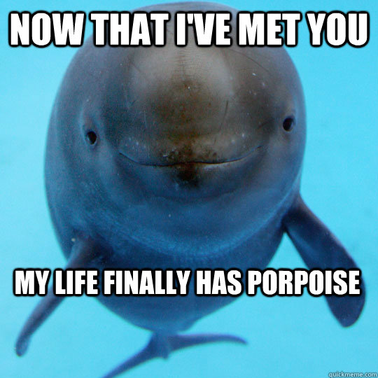 Now that I've met you My life finally has porpoise - Now that I've met you My life finally has porpoise  pickup line porpoise