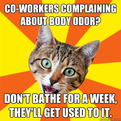 Co-workers complaining about body odor? Don't bathe for a week, they'll get used to it.   Bad Advice Cat