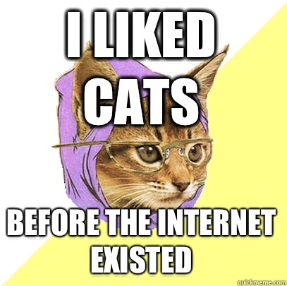 I liked cats before the Internet existed  Hipster Kitty