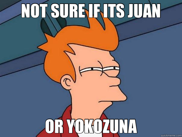 NOT SURE IF ITS JUAN OR YOKOZUNA - NOT SURE IF ITS JUAN OR YOKOZUNA  Futurama Fry