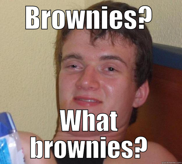 BROWNIES? WHAT BROWNIES? 10 Guy