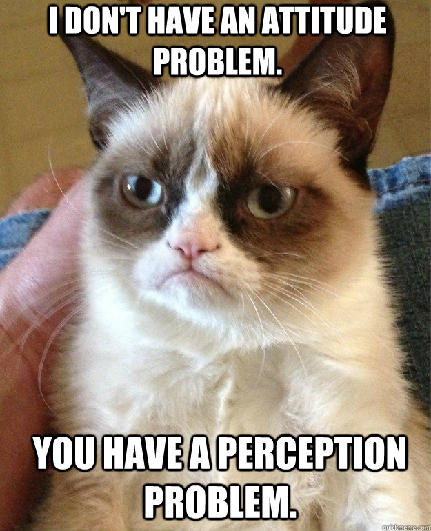 I don't have an attitude problem. You Have a Perception Problem.    Grumpy Cat