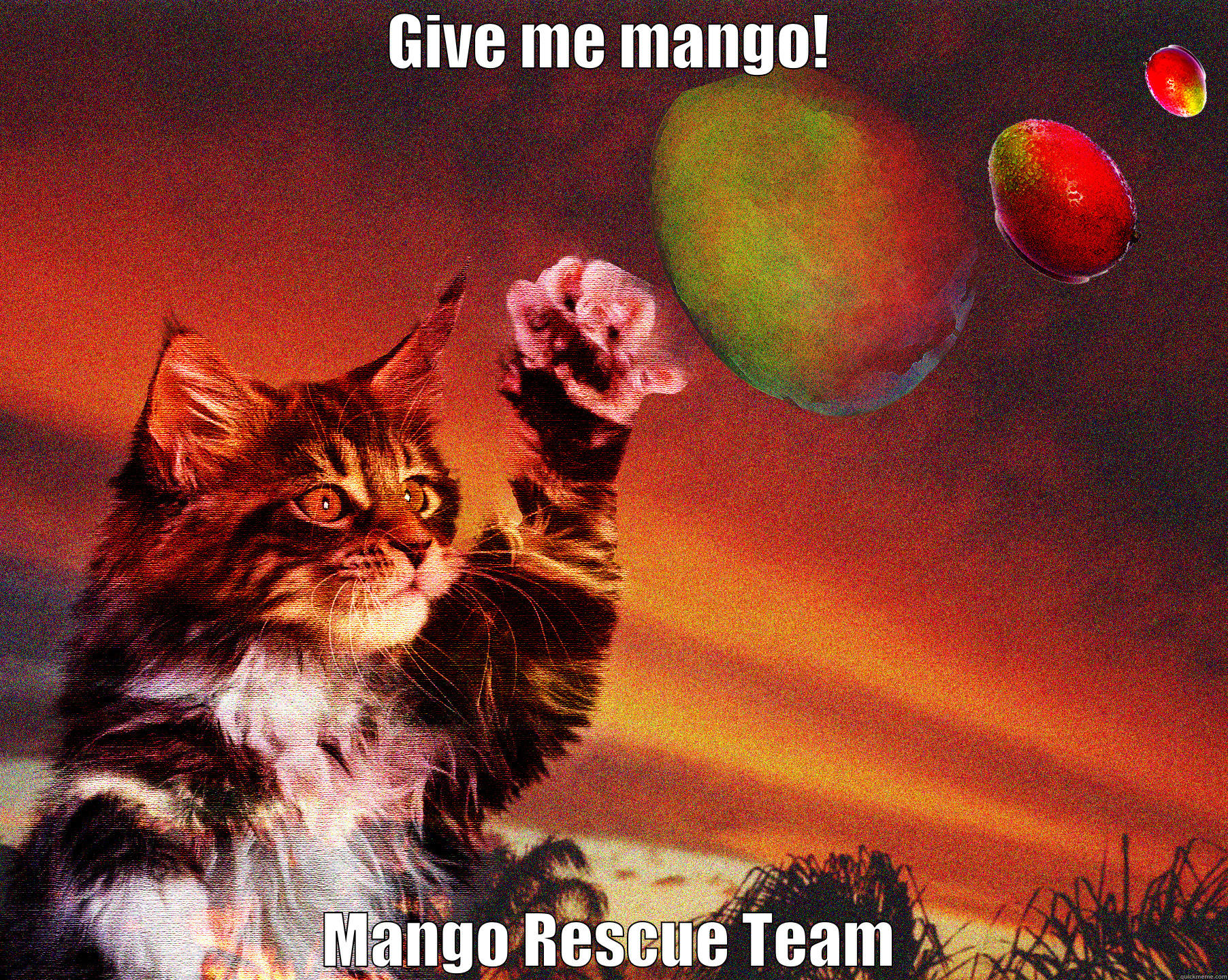 GIVE ME MANGO! MANGO RESCUE TEAM Misc