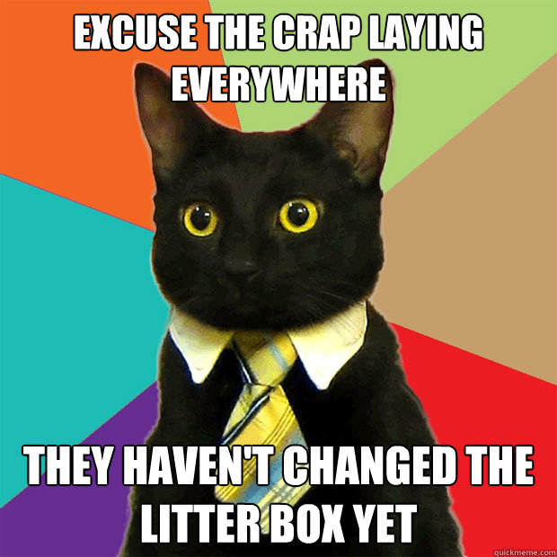 Excuse the crap laying everywhere They haven't changed the litter box yet  Business Cat