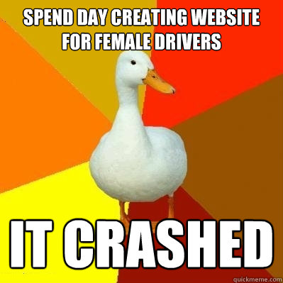 SPEND DAY CREATING WEBSITE FOR FEMALE DRIVERS IT CRASHED  Tech Impaired Duck