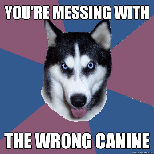 You're messing with the wrong canine - You're messing with the wrong canine  Creeper Canine