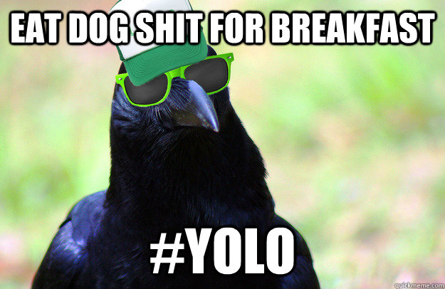 Eat dog shit for breakfast #YOLO - Eat dog shit for breakfast #YOLO  Overused Catchphrase Crow