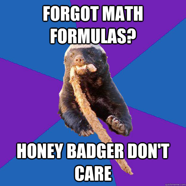 forgot math formulas? honey badger don't care  Honey Badger Dont Care