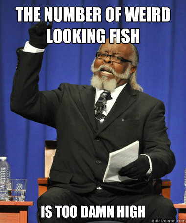 The number of weird looking fish is too damn high  The Rent Is Too Damn High