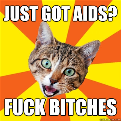 Just got aids? fuck bitches  Bad Advice Cat